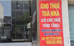 Người cho thuê nhà doanh thu trên 1 tỷ lưu ý: Cục Thuế hướng dẫn chi tiết cách tính thuế sau