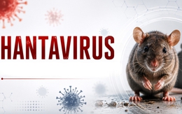 5 câu hỏi người dân quan tâm nhất về virus Hanta được BS Bệnh viện Bệnh Nhiệt đới Trung ương giải đáp