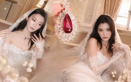 Sau đám cưới Hề Mộng Dao, dân tình truy tìm viên hồng ngọc "Vương giả chi sắc" - "Tứ thái truyền thừa" của gia tộc trùm sòng bạc Macau