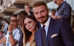 Victoria Beckham: "Tôi không thích bóng đá, đến xem chỉ để... tia trai"