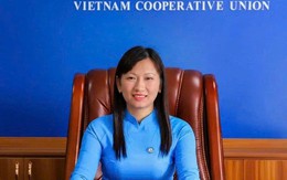 Ra quyết định khởi tố hình sự Lê Thị Hiền SN 1984