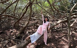 Nữ diễn viên quê Tiền Giang tiêu chục tỷ đồng mở khu sinh thái 50.000m2 dù chồng đại gia can ngăn
