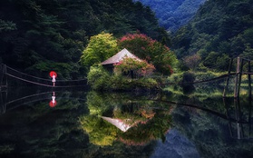 Bộ ảnh phản chiếu tuyệt đẹp về thiên nhiên xứ Hàn đầy thơ mộng 