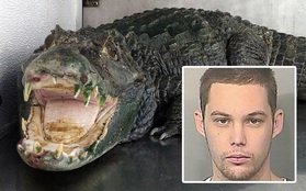 Tên trộm vừa thoát được cảnh sát thì bị cá sấu ăn thịt