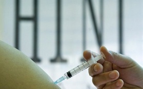Phát hiện virút cúm heo mới ở Trung Quốc có thể lây sang người