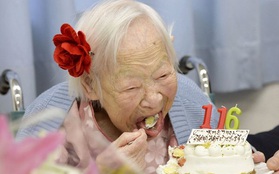 Nhật Bản có hơn 65.000 người trên 100 tuổi