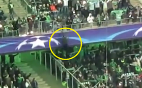 Trèo leo như "người nhện" trên khán đài, fan Celtic gặp cái kết cay đắng