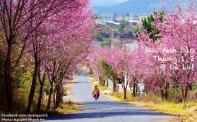 Hãy xem bộ ảnh này để thấy Việt Nam mình có những mùa lúa, mùa hoa thật đẹp!