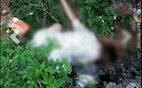 Bắc Giang: Bàng hoàng phát hiện thi thể cô gái trẻ ngoài cánh đồng