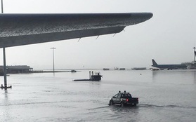 Đến bao giờ sân bay Tân Sơn Nhất hết bị ngập khi có mưa lớn?