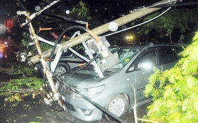 Các tài xế hoảng hồn kể lại khoảnh khắc cây đổ kéo theo trụ điện đè bẹp 7 ô tô ở Sài Gòn