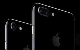 Thị trường Việt “náo loạn” ngày đầu có iPhone 7