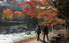 4 điều cực hấp dẫn dành cho giới trẻ khi du lịch Tokyo Nhật Bản