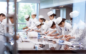 Du học Úc ngành Ẩm thực – Nhà hàng khách sạn tại Le Cordon Bleu