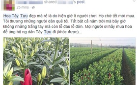Dân mạng Hà Nội kêu gọi giúp nông dân Tây Tựu "giải cứu" hoa ly nở sớm