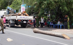 Xe cẩu bất cẩn làm rơi thân cây dừa đè chết nam sinh 15 tuổi