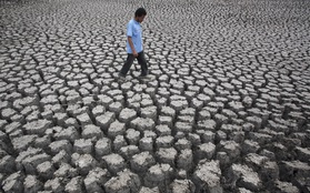 Đừng có chê chị "Ai là triệu phú", thế bạn đã biết El Nino là gì chưa?