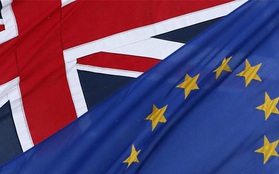 Sau Brexit, người Anh mới đi Google xem EU là cái gì