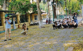 Người Hà Nội thích thú chụp ảnh với những con đường trải thảm lá vàng