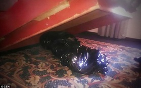 Mexico: Ngủ phòng khách sạn có xác chết dưới gầm giường suốt nhiều ngày mà không hề hay biết
