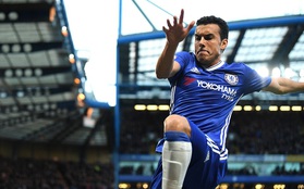 Pedro lập tuyệt phẩm lá vàng rơi, Chelsea thắng trận thứ 12 liên tiếp