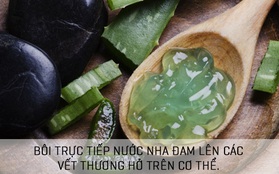 Tránh ngay 5 sai lầm khi dùng nha đam dưỡng da nếu không muốn “gặp họa”