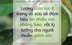 Tranh thủ ăn vú sữa vào mùa để hưởng thụ lợi ích tuyệt vời