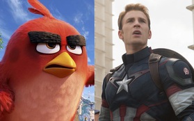 "The Angry Birds Movie" vượt mặt "Captain America: Civil War" trên bảng xếp hạng doanh thu