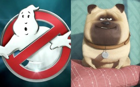 Những con ma "Ghostbusters" chưa đủ sức hạ bệ lũ thú cưng "The Secret Life of Pets"