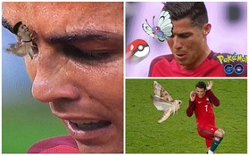 Chú bướm đêm đậu trên mắt Ronaldo gây sốt cộng đồng mạng