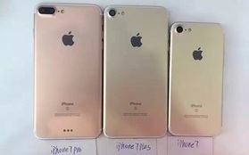 Bộ ba iPhone 7 lần lượt rủ nhau cùng xuất hiện vô cùng rõ nét