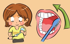 Hầu hết những cách chải răng chúng ta thường làm đều sai