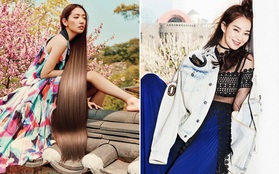 Park Shin Hye đẹp ma mị với suối tóc dài không tưởng, Shin Min Ah sành điệu trên tạp chí