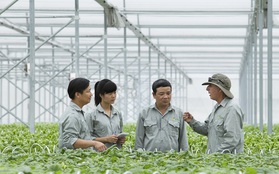 Vingroup liên kết với 1.000 hợp tác xã và hộ nông dân cung ứng nông sản sạch, an toàn