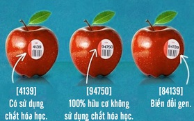 Giúp bạn hiểu hết ký hiệu bí ẩn được in trên các bao bì sản phẩm dùng hàng ngày