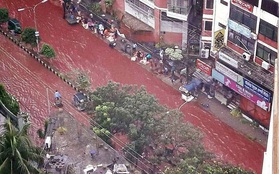 Đường phố nhuộm màu đỏ máu trong lễ hiến sinh của người Hồi giáo khiến ai cũng phải rùng mình