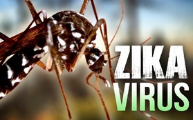 2' và tất tần tật điều cần biết về virus Zika