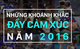 Video: Những khoảnh khắc đầy cảm xúc của năm 2016