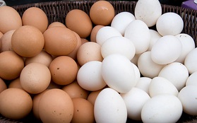 Vì sao trứng gà có hai màu và lý do thật bất ngờ