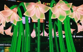 Giám đốc Sở Văn hóa chỉ đạo chỉnh sửa lại hoa ở Đài phun nước Bờ Hồ