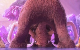 Hài hước xem cư dân "Ice Age 5" dùng yoga để cứu thế giới