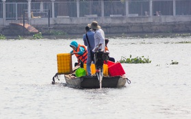 Sợ "đội quân" chích điện, người Sài Gòn thuê thuyền máy ra sông thả cá chép tiễn Táo quân