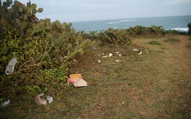 Bãi Xép - Cảnh đẹp Phú Yên trong "Hoa vàng trên cỏ xanh" bắt đầu ngập đầy rác