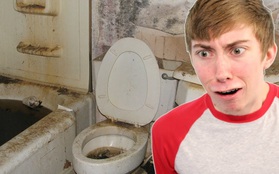 Nơi bẩn nhất trong nhà bạn không phải là WC