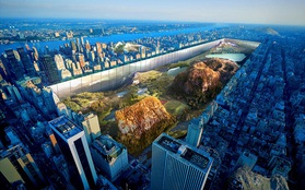Xây tường giữa thành phố New York để biến công viên trở về thời hoang dã
