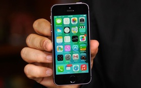 Không phải iPhone 6 hay 6s, iPhone 5s mới là chiếc máy được lòng người dùng nhất