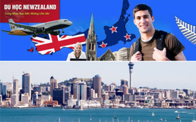 Du học New Zealand cùng ngành kinh tế, cơ hội việc làm và triển vọng nghề nghiệp 2016