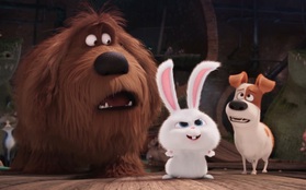 "The Secret Life of Pets" chứng minh đẳng cấp khi mang về hơn 100 triệu USD tại Bắc Mỹ