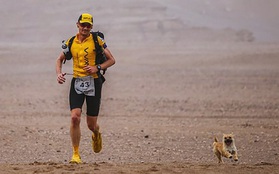 Cùng nhau vượt qua 124km chạy bộ trên sa mạc, cô chó đi lạc đã tìm được chủ mới cho mình
