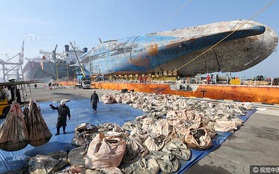 Những di vật được tìm thấy trong xác phà Sewol sau 3 năm chìm dưới đáy đại dương